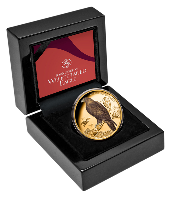 Australský orel klínoocasý v barvě 2025, 1 oz zlata v etuji