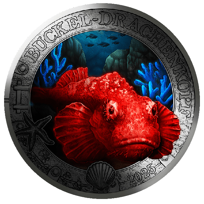 Ďábelský štír (Scorpaenopsis diabolus) 2025, CuNi mince