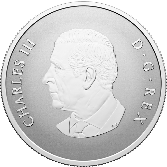 Narozen v roce 2026, stříbrná mince v etuji, 15 g 
