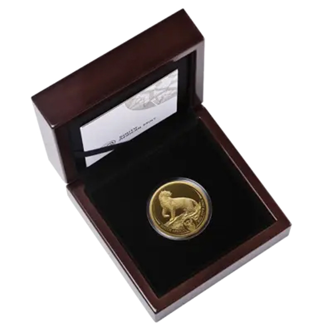 Big Five III - Leopard 2026, zlatá mince v etuji, 1 oz