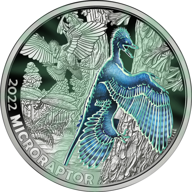 Microraptor Gui, CuNi mince