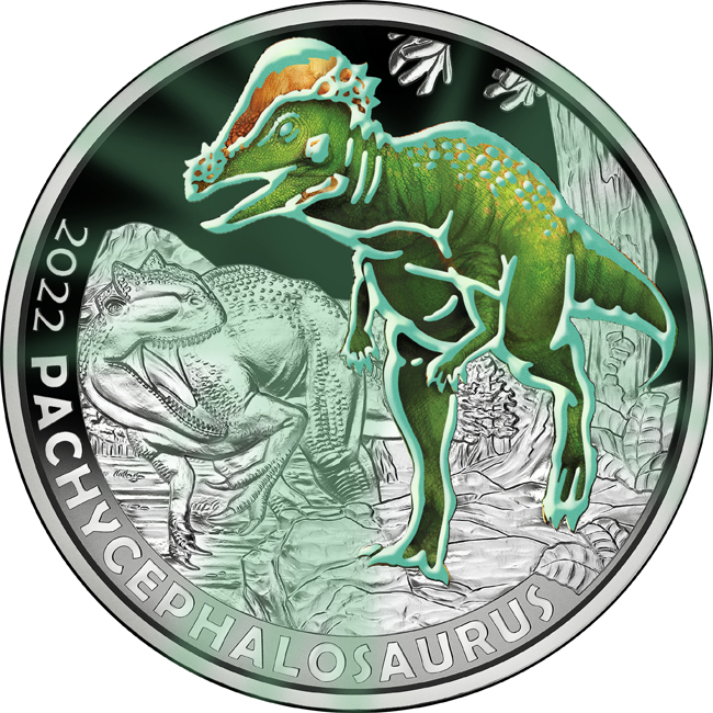 Pachycephalosaurus Wyomingensis, CuNi mince