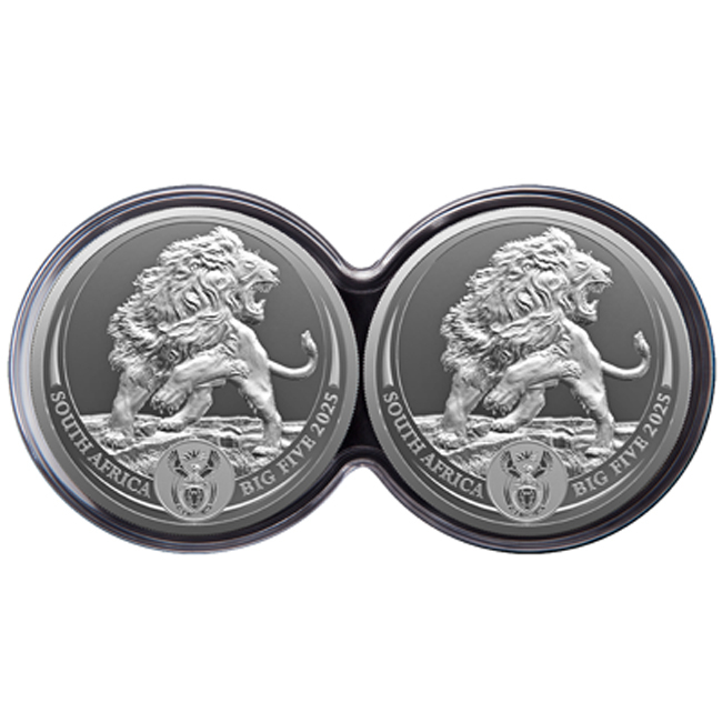Big Five III - Lev 2025, sada stříbrných mincí v etuji, 2 oz