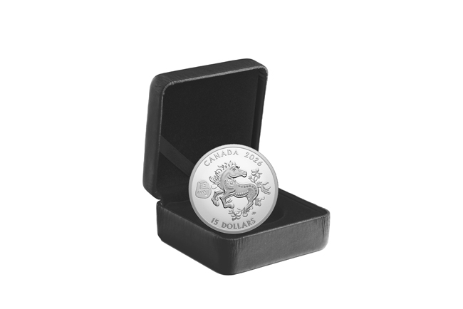 Lunární kůň 2026 - Royal Canadian Mint, stříbrná mince v etuji, 1 oz