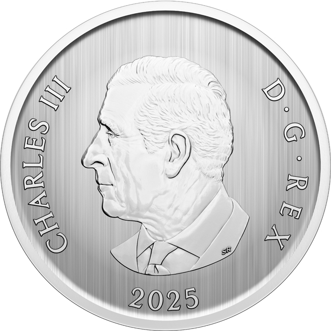 Zábavný vánoční strom 2025, mince CuNi