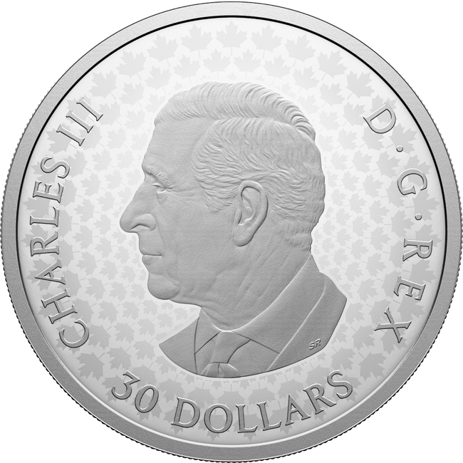 Vzácné javorové listy 2026, stříbrná mince v etuji, 2 oz
