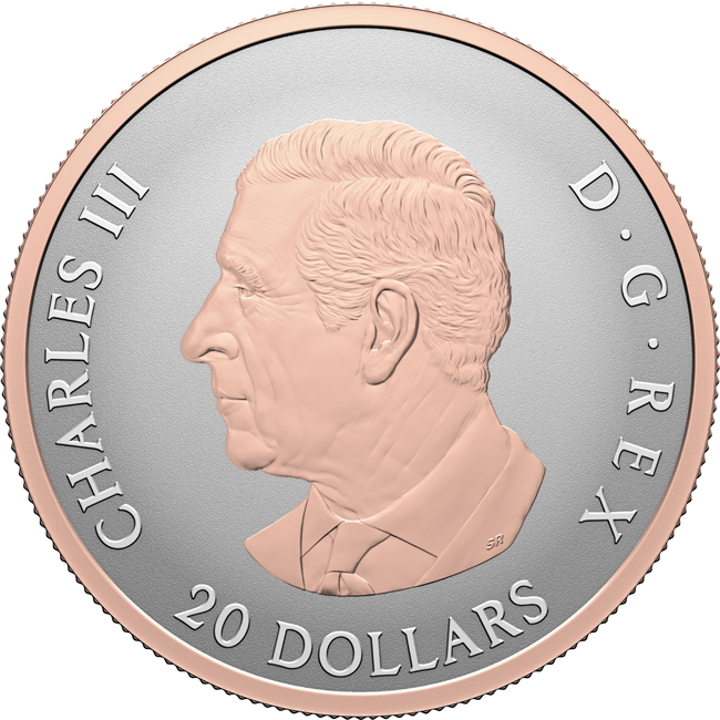 Oslavujte lásku 2026, stříbrná mince v etuji, 1 oz