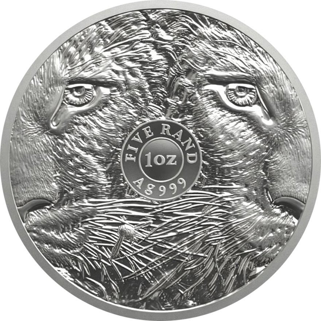 Big Five III - Leopard 2026, stříbrná mince v blistru, 1 oz