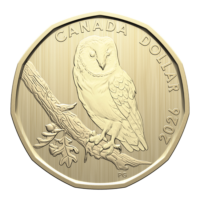 Sada minci v etuji - Barn Owl Specimen, CuNi