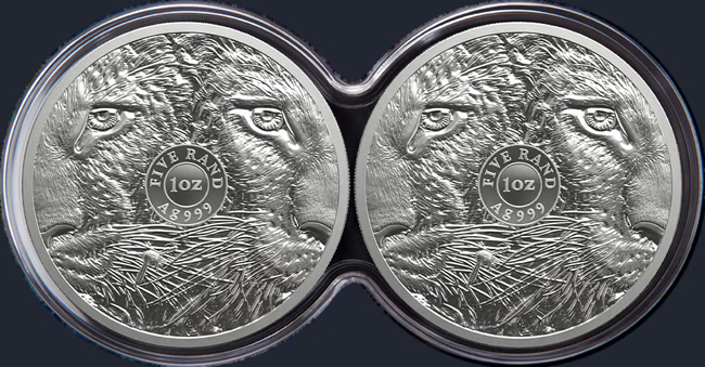 Big Five III - Leopard 2026, sada stříbných mincí v etuji, 2x1 Oz