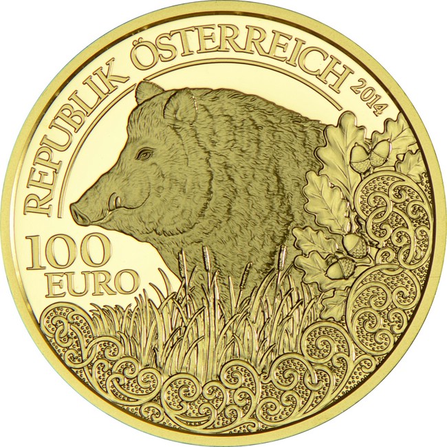 Po stopách naší divoké zvěře: Prase divoké 2014, zlatá mince v etuji, 16 g