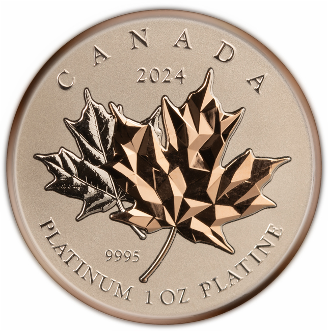 Platinová mince Věčný Maple Leaf 2024, 1 oz