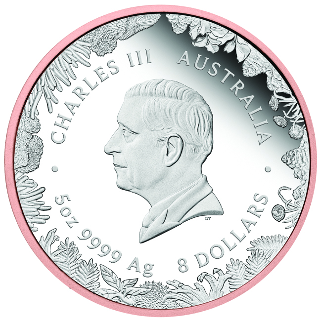 Zázraky Austrálie - Klokan 2026, stříbrná mince v etuji, 5 oz