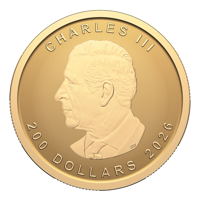 Bizon (Purest Bison) 2026, zlatá mince v blistru, 1 oz