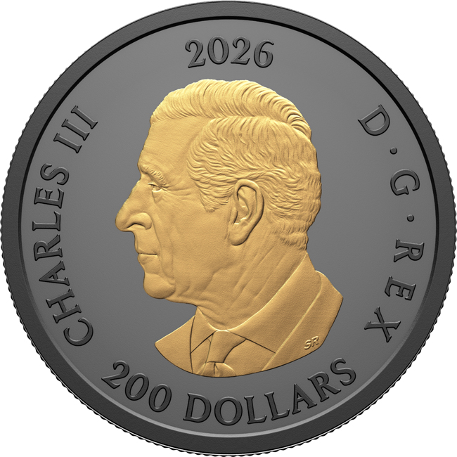 Triple Maple 2026 - zlatá mince s černým rhodiem v etuji, 1 oz