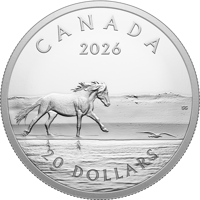 Kůň z ostrova Sable 2026, stříbrná mince v etuji, 1 oz