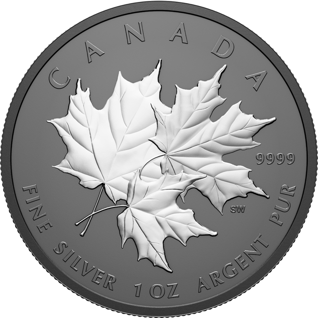 Triple Maple 2026 - stříbrná mince s černým rhodiem v etuji, 1 oz
