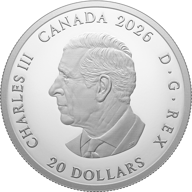 Želví ostrov 2026, stříbrná mince v etuji, 1 oz