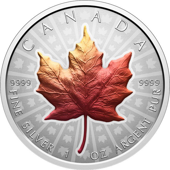 Maple Leaf 2026, stříbrná mince v etuji, 1 oz