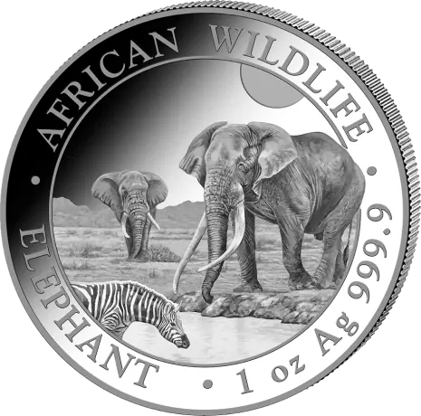 Stříbrná minca Slon Somálský 2026, 1&nbsp;oz