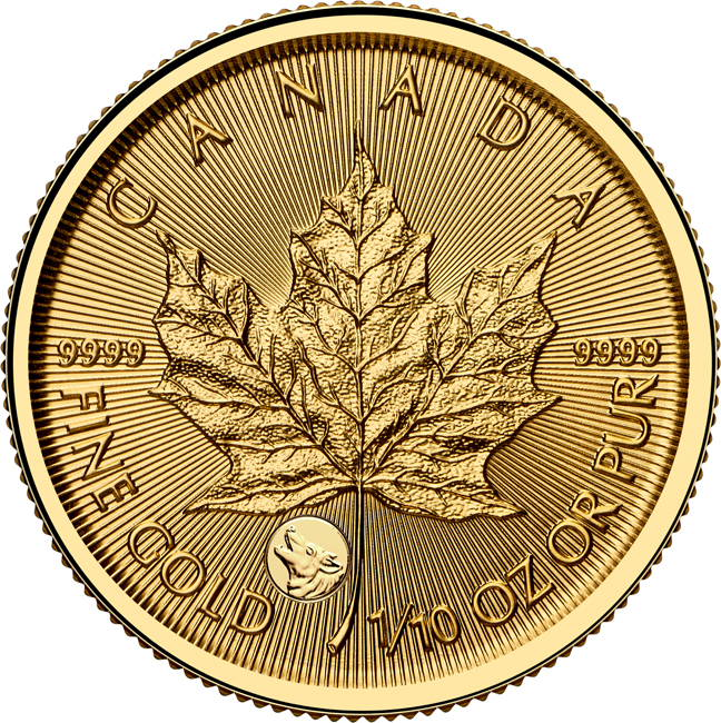 Vzácný Maple Leaf 2026 - Vlk, zlatá mince v blistru, 1/10 oz