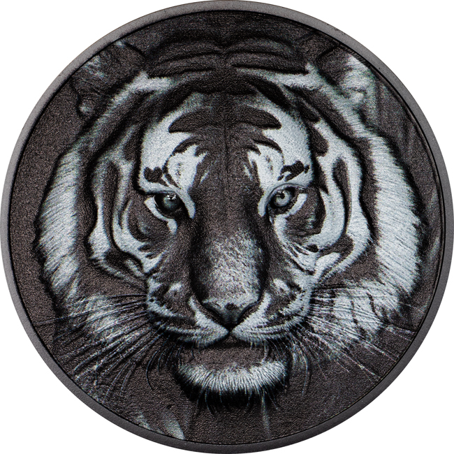 Tygr 2025, 1 oz stříbra v etuji