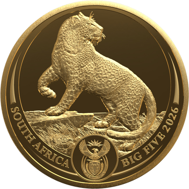 Big Five III - Leopard 2026, zlatá mince v etuji, 1/4 oz