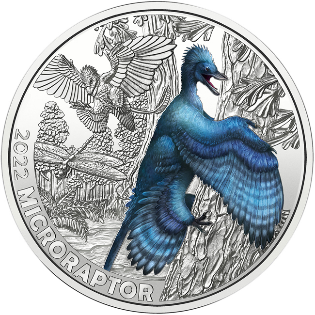 Microraptor Gui, CuNi mince