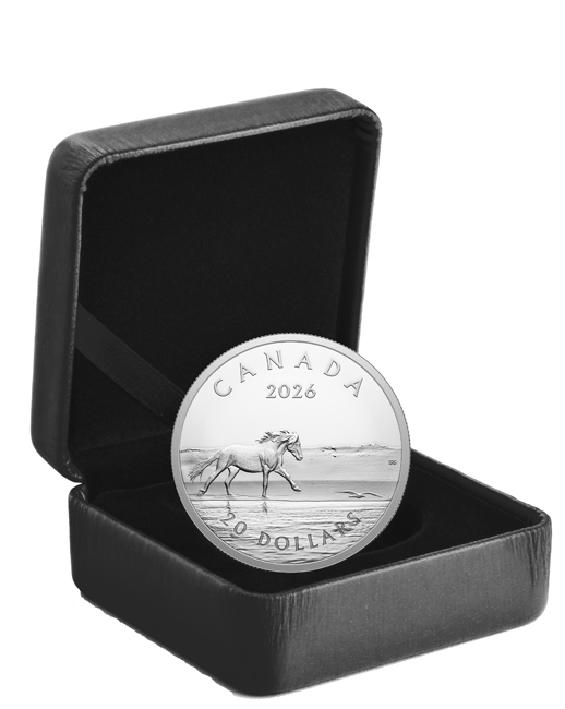 Kůň z ostrova Sable 2026, stříbrná mince v etuji, 1 oz