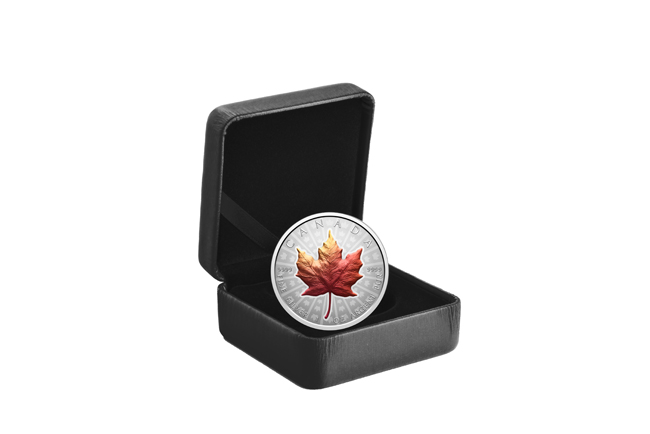 Maple Leaf 2026, stříbrná mince v etuji, 1 oz