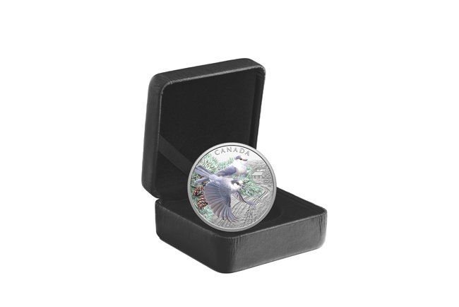 Sojka kanadská 2026, stříbrná mince v etuji, 1 oz